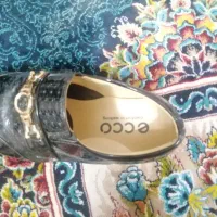 کفش کالج|کیف، کفش، کمربند|مشهد, کوی دروی|دیوار