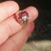 باباقوری ،یاقوت ،شجر