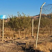 باغستان سیب رضا|فروش زمین و ملک کلنگی|زنجان, |دیوار