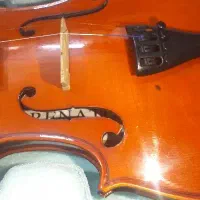 ویولن رناتو۴/۴|ویولن|قزوین, |دیوار