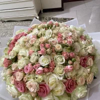 گل رز ۲۰۰شاخه