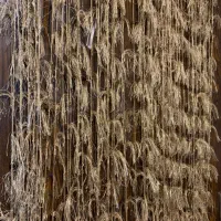 ریسه ترک نو مناسب جهیزیه