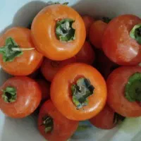 خرمالو سردرختی شیرین وخوشمزه|حراج|قرق, |دیوار