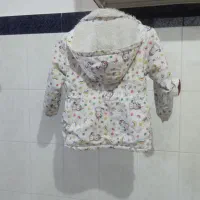 پالتو|کیف، کفش، کمربند|زنجان, |دیوار