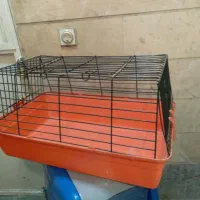 باکس حیوانات خانگی