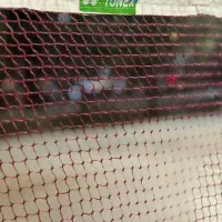 هم بازی بدمینتون