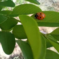 ۲۵۰۰۰متر زمبن برجاده ترانزیت قزوین زنجان|فروش زمین و ملک کلنگی|سلطانیه, |دیوار