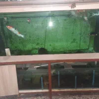 اکواریوم کامل