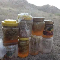 عسل طبیعی کوهی|خوردنی و آشامیدنی|تهران, تجریش|دیوار