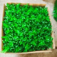 گرین وال دیوار سبز برگ لیمویی