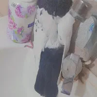 دوتاکبوتر هردو نر پربازی دار|پرنده|بم, |دیوار