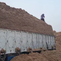 آذوقه احشام کا کاه