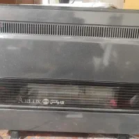 بخاری ارلوکس