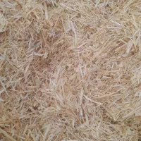 کاه نرن|لوازم جانبی حیوانات|ارزوئیه, |دیوار