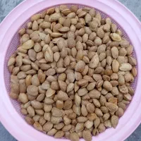 بادام امسال|خوردنی و آشامیدنی|تهران, ارم|دیوار