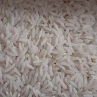 برنج هاشمی