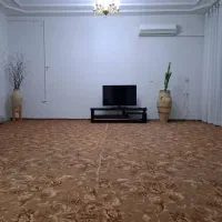 موکت پالاز تمیز و سالم|موکت|فسا, |دیوار