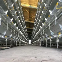 خریدوفروش لوازم مرغ گوشتی تخمگذار و مادر|عمده‌فروشی|برازجان, |دیوار