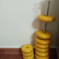 دمبل پویا
