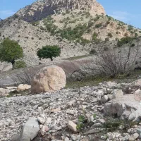 کارت ملی