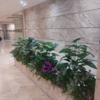 جدیدترین مدلهای اجرا شده درختچه و گیاه مصنوعی|گل مصنوعی|تهران, بازار|دیوار