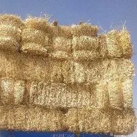 پرس جو امسالی