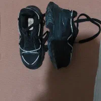 کفش اسپرت و تالار|کیف، کفش، کمربند|نقده, |دیوار