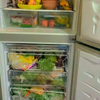 یخچال فریزر|یخچال و فریزر|رشت, دروازه لاکان|دیوار