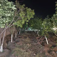 فروش باغ  ویلا ۱۴۰۰ متر خانه۷۰ در آبیک مالی اباد|فروش خانه و ویلا|کرج, ساسانی (قلمستان)|دیوار