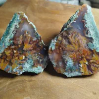 راف پولیش خورده