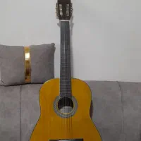 گیتار نو همراه با کیف برزنتی