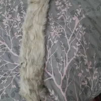 شال گردن سمور