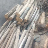 خرید چوب سقفی با قیمت بالا