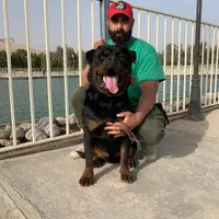 کشش روت وایلر