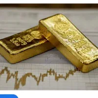 یک قطعه طلا پیدا شده