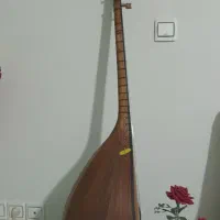 ساز قوپوز آشیق|سازهای سنتی|باغستان, |دیوار