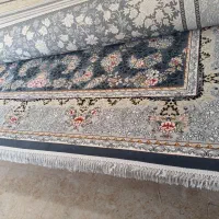 ۹جفت فرش ۱۲متری ۷۰۰شانه ۲۵۵۰ تراکم اصلی|فرش|سرپل ذهاب, |دیوار