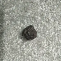 شهاب سنگ اصلی