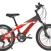 دوچرخه مردانه، زنانه و کودک با تنوع مدل بالا