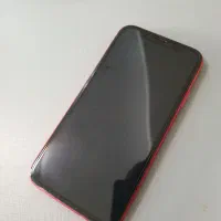 آیفون xr|موبایل|تهران, درختی|دیوار