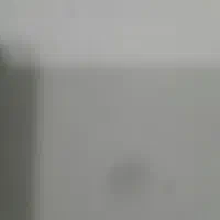 کارگر(پرسکار خشکشویی)