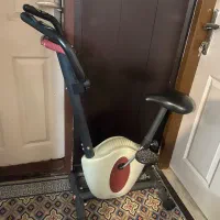 دوچرخه ثابت