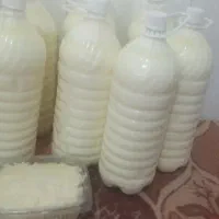 دوغ و کره