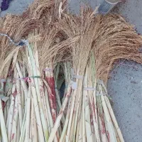 جارو گال رسیده|لوازم نظافت|اسلام‌‌آباد غرب, |دیوار