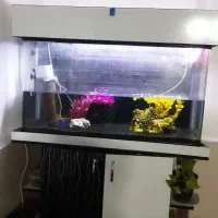 آکواریوم با تمام امکانات فروشی ۵تومن