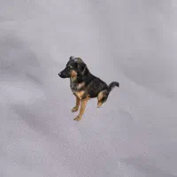 ژرمن شولاین