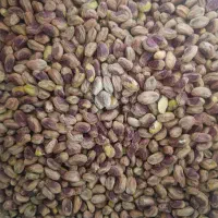 شکستن پسته و کمرابی