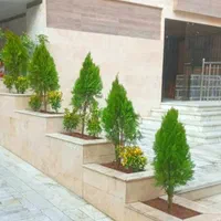 باغبانی سمپاشی تمام نقاط تهران‌وحومه|خدمات باغبانی و درختکاری|تهران, تهران‌نو|دیوار