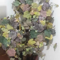 دکوری|گل مصنوعی|گرگان, |دیوار