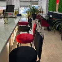 میزو صندلی غذاخوری خوری آنیکا۹۹H